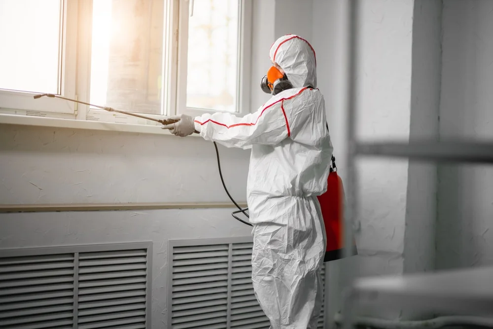 Professional mold remediation services in Franklinville, NJ